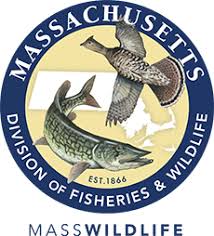 MA Division of Fisheries & Wildlife